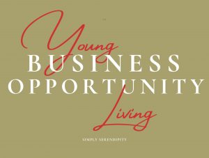 Business Opportunity Webinar